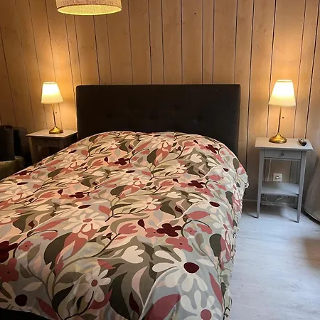 Champenoise 1 , - France Apartment *